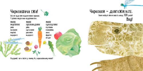 Наталія Чуб "Куди поділася черепаха?"