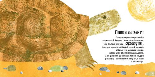 Наталія Чуб "Куди поділася черепаха?"