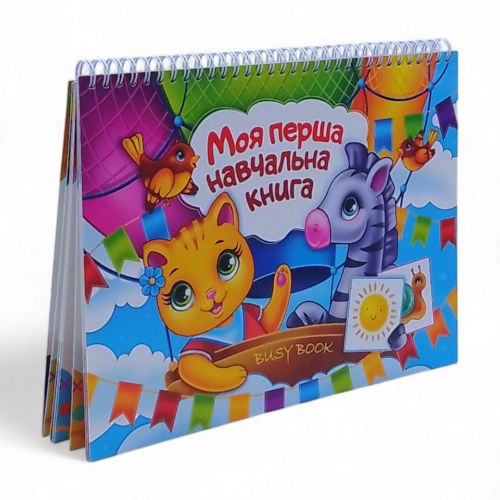 Уцінка. Книжка "Busy Book (Бізібук) Моя перша книга" немає карточок і маркера, є тільки книга